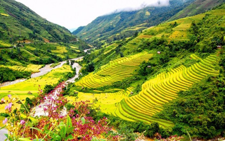 Khung cảnh Việt Bắc tươi đẹp.